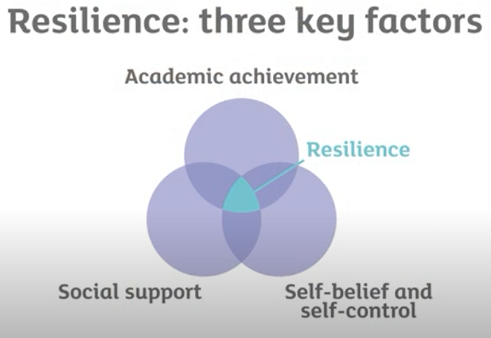 The three key factors for resilience: academic achievement; self-belief; social support