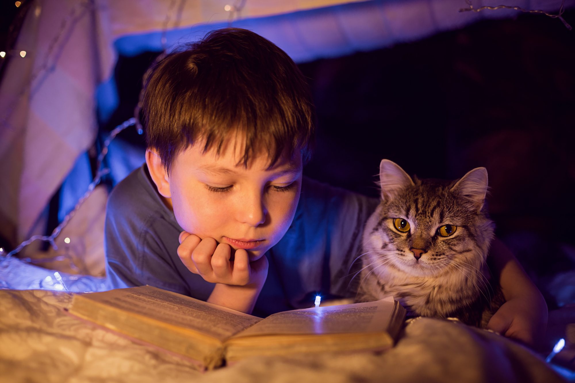 Reading & comprehension: Age 5–6 (Year 1) - Oxford Owl