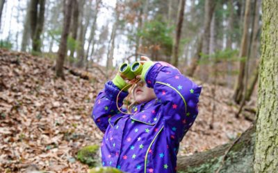 Discovery walks – fun outdoor learning ideas