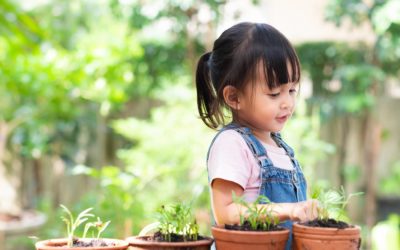 How gardening can cultivate your child’s maths skills