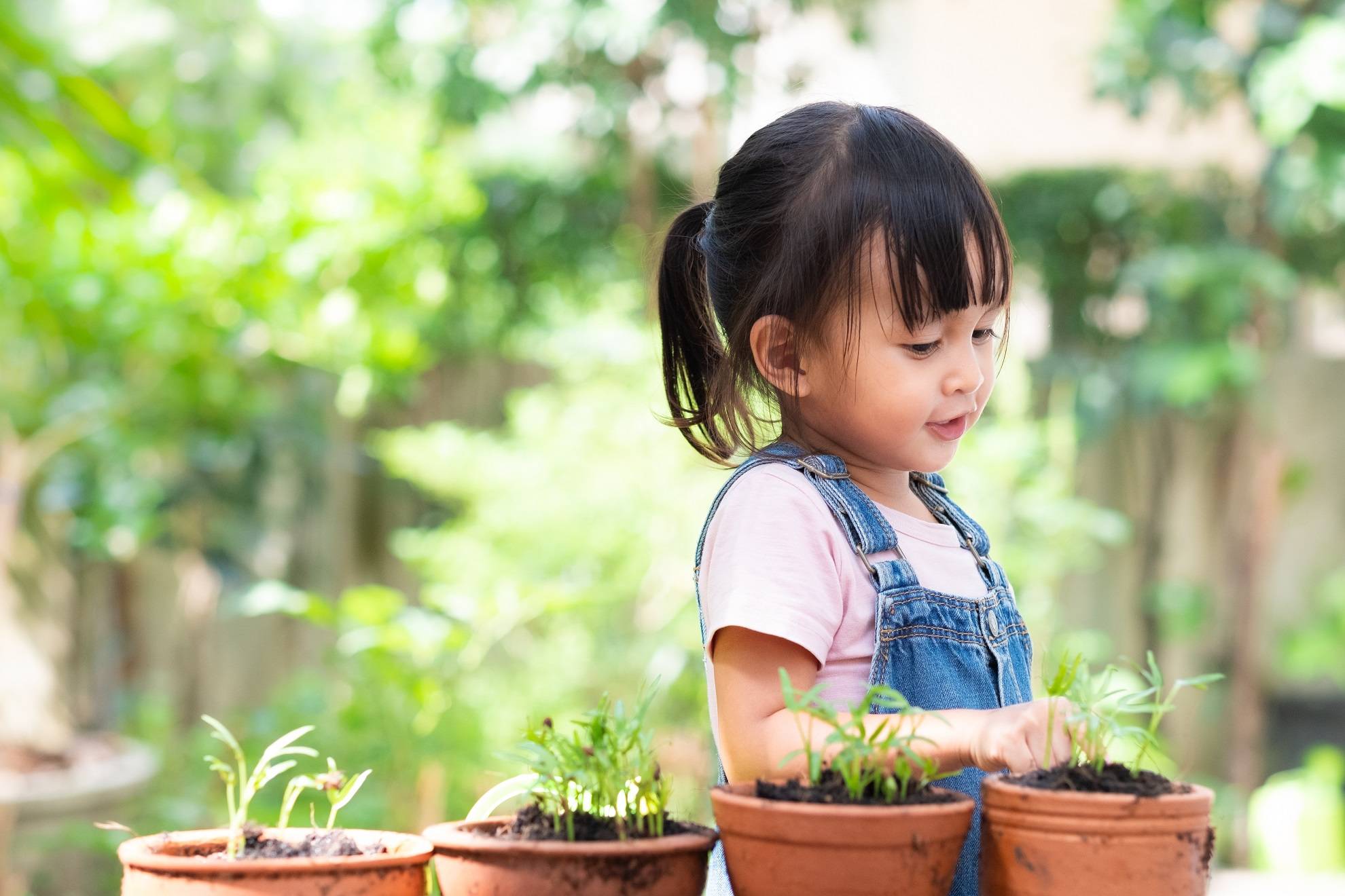 How gardening can cultivate your child's maths skills - Oxford Owl for Home